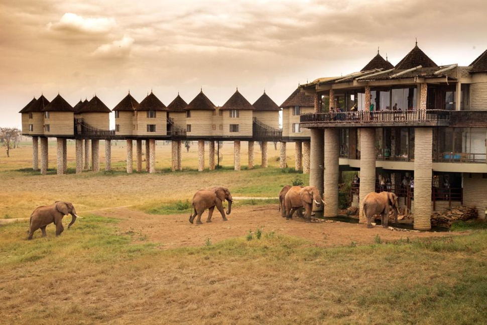 3 DAYS SALT LICK SAFARI LODGE MADARAKA EXPRESS PACKAGE