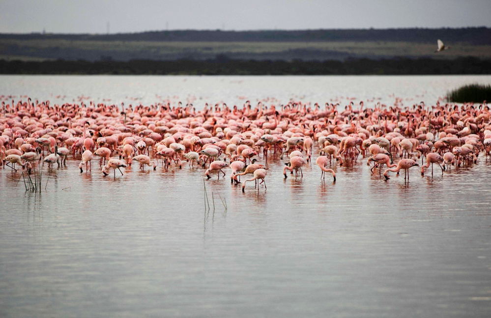 2NIGHTS LAKE ELEMENTAITA